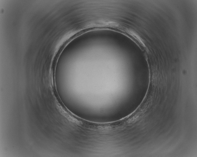 X0000068851080200605081209