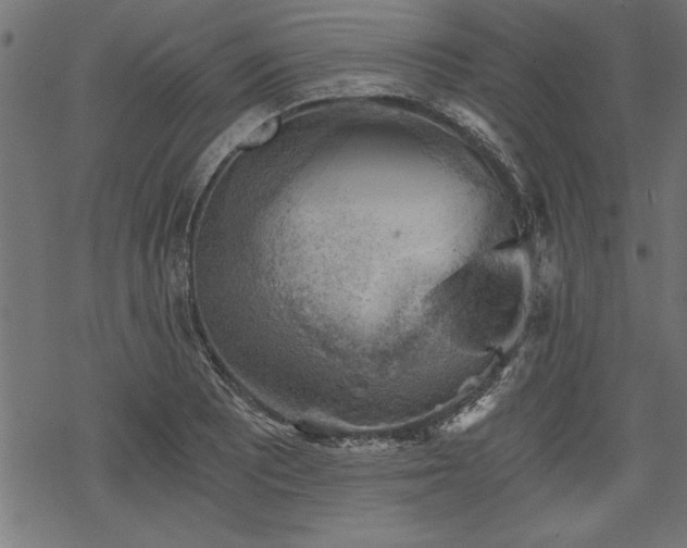 X0000068851081200605081209