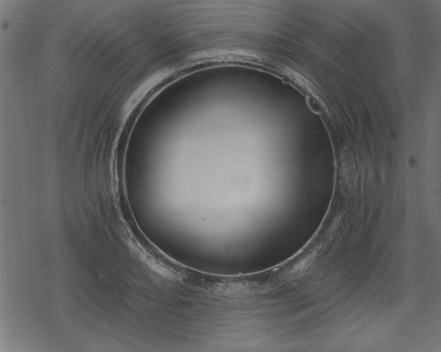 X0000068851082200605081209