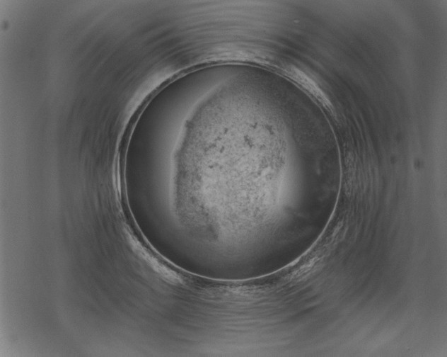 X0000068851084200605081209