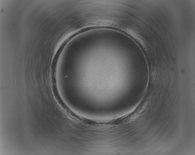 X0000068851085200605081209