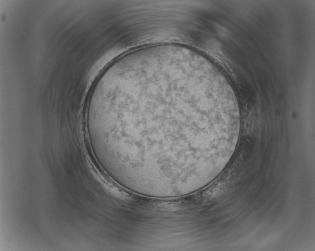 X0000068851086200605081209