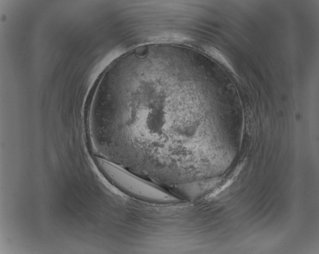 X0000068851087200605081208