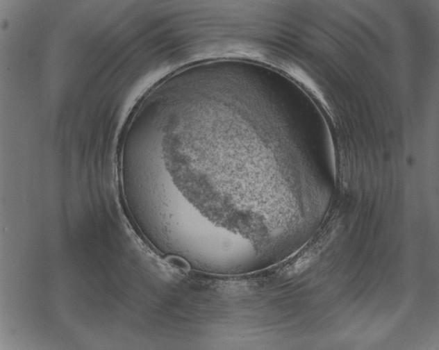 X0000068851088200605081208