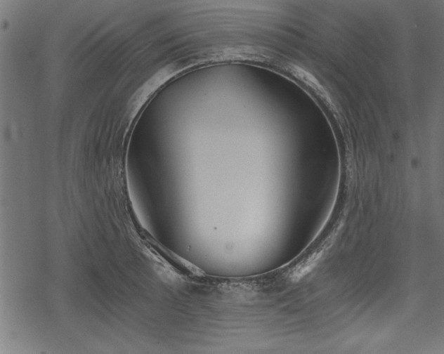 X0000068851089200605081208