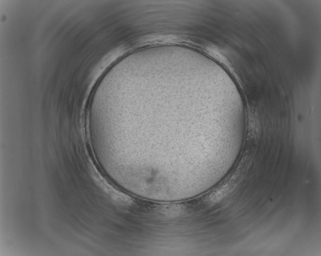 X0000068851090200605081208