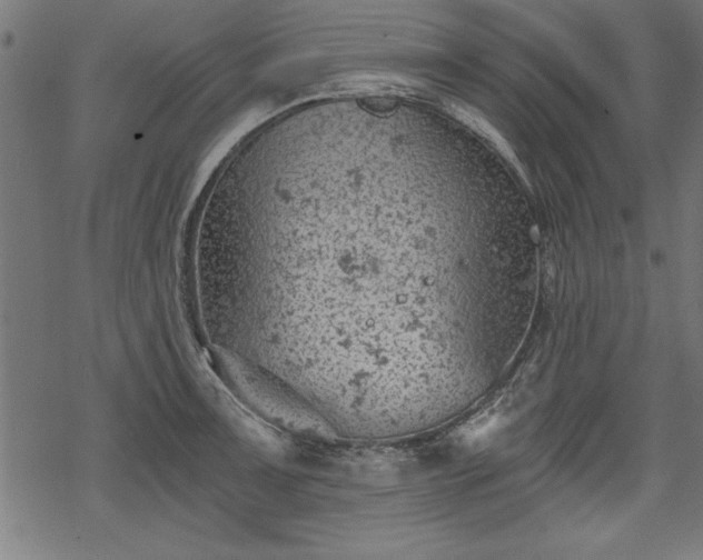 X0000068851091200605081208