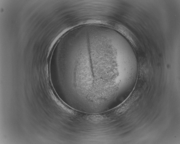 X0000068851092200605081208