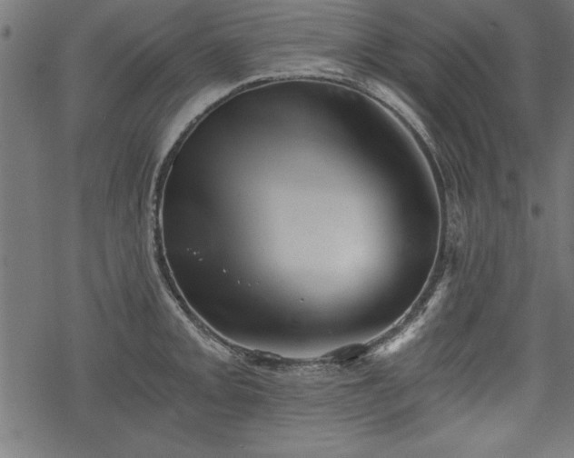 X0000068851093200605081208