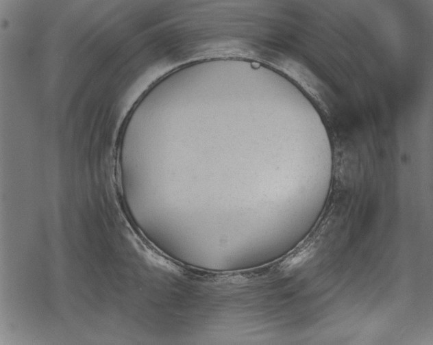 X0000068851094200605081208