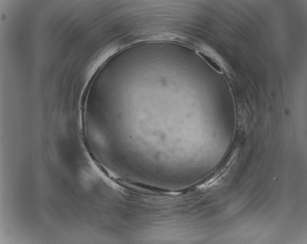 X0000068851095200605081208