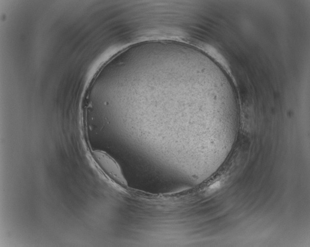 X0000068851096200605081208