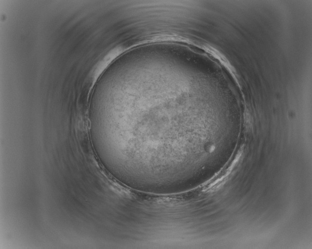 X0000068851097200605081208