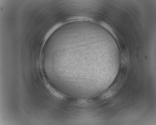 X0000068851098200605081208