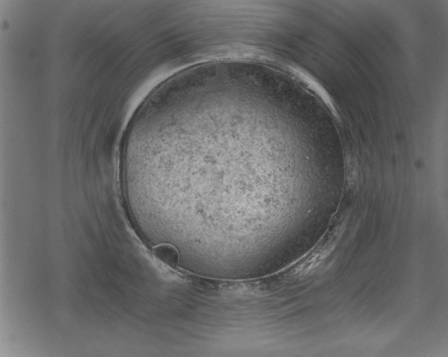 X0000068851099200605081208