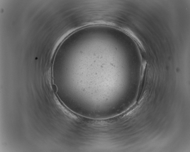 X0000068851100200605081208