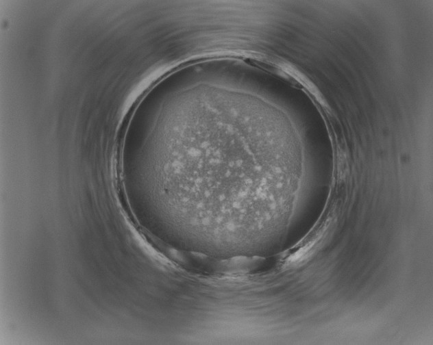 X0000068851101200605081208