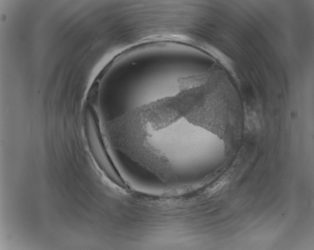 X0000068851102200605081208