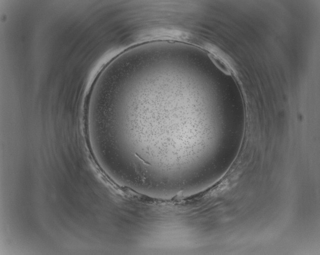 X0000068851104200605081208