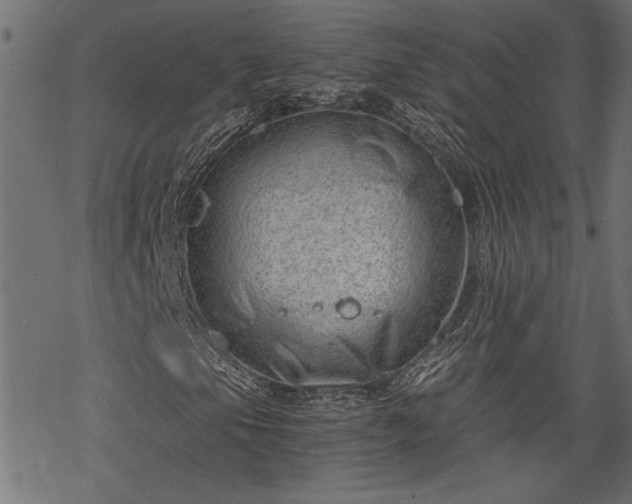 X0000068851105200605081207