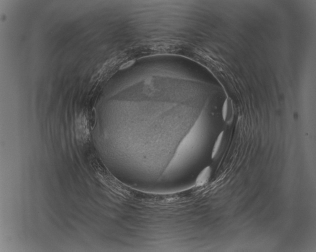 X0000068851106200605081207