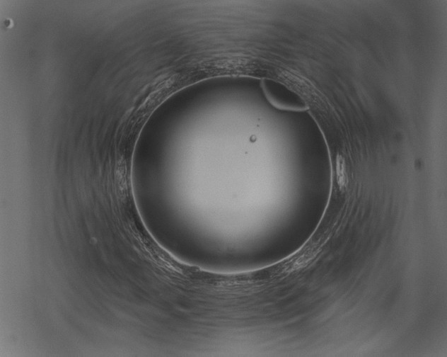 X0000068851107200605081207