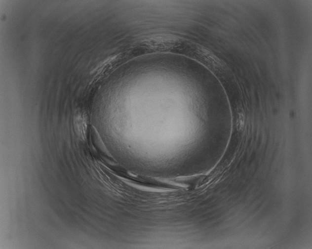 X0000068851108200605081207