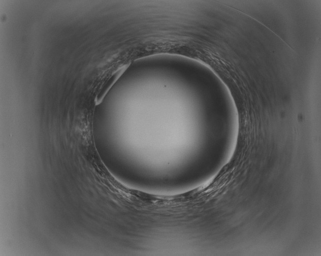 X0000068851109200605081207