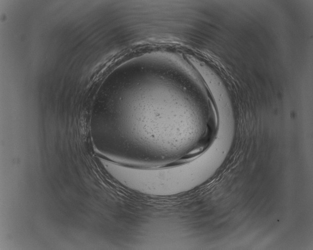 X0000068851110200605081208