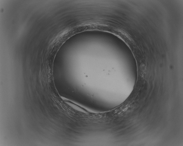 X0000068851111200605081208