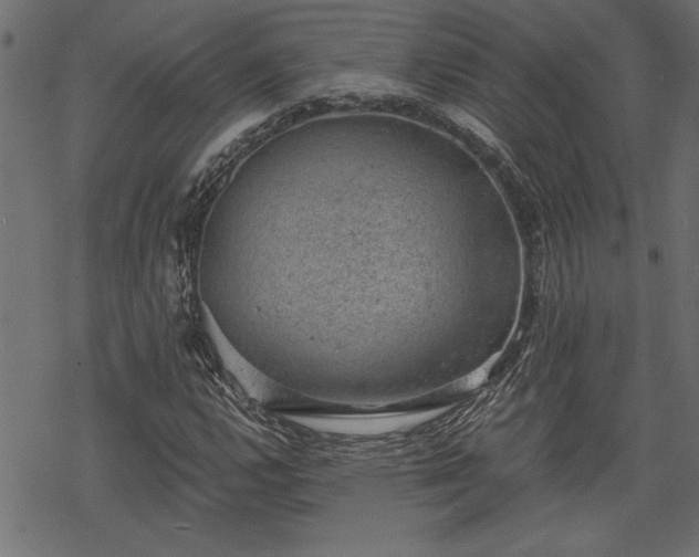 X0000068851112200605081208