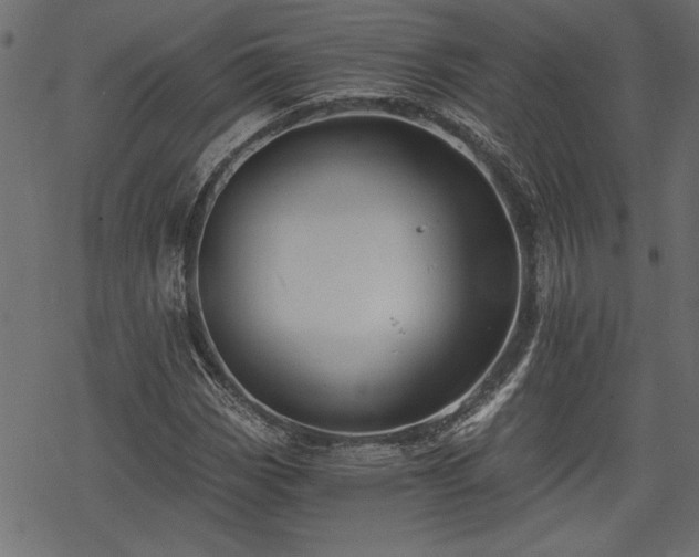 X0000068851113200605081208