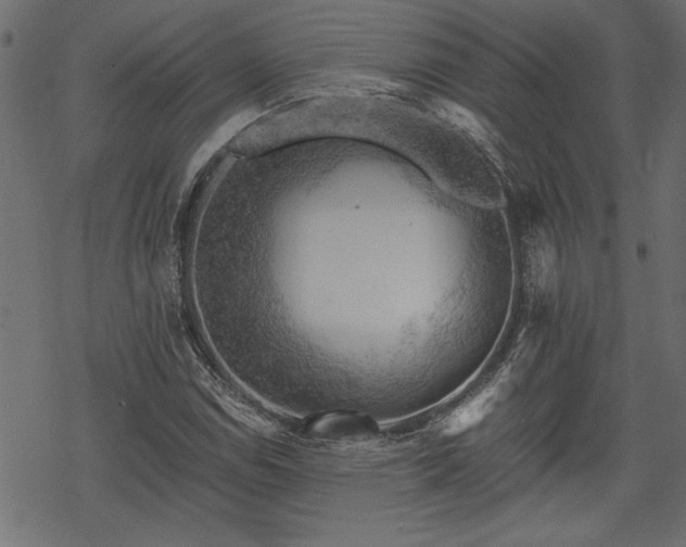 X0000068851114200605081208