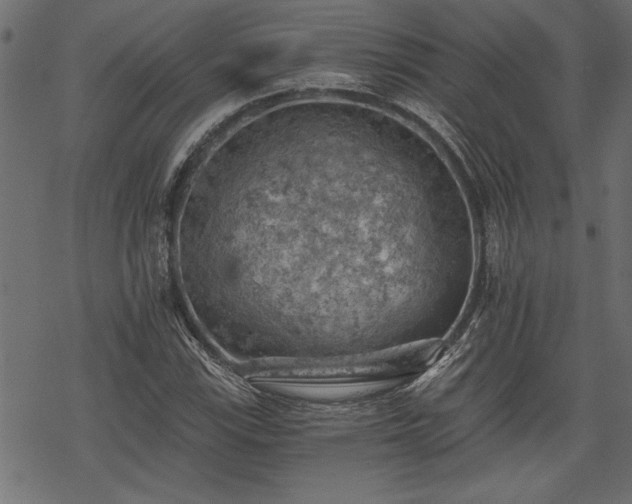 X0000068851115200605081208