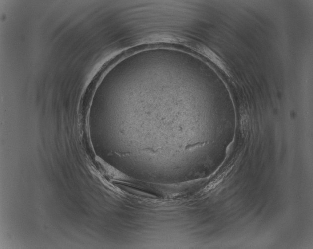 X0000068851116200605081208