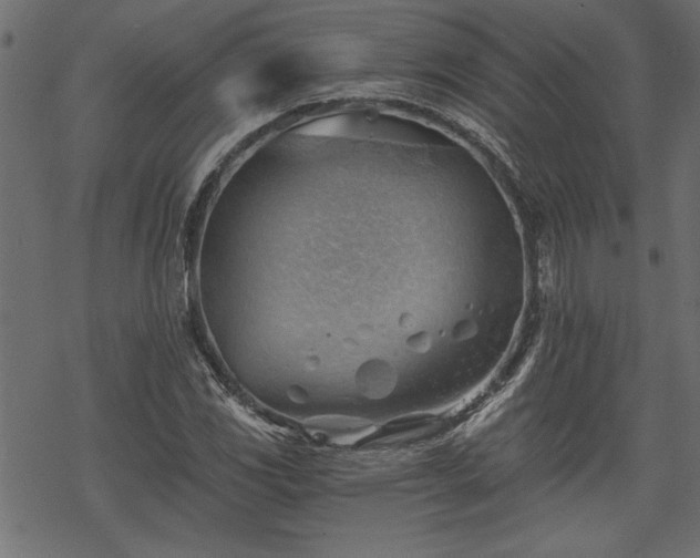 X0000068851117200605081208