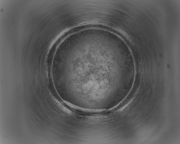 X0000068851118200605081208