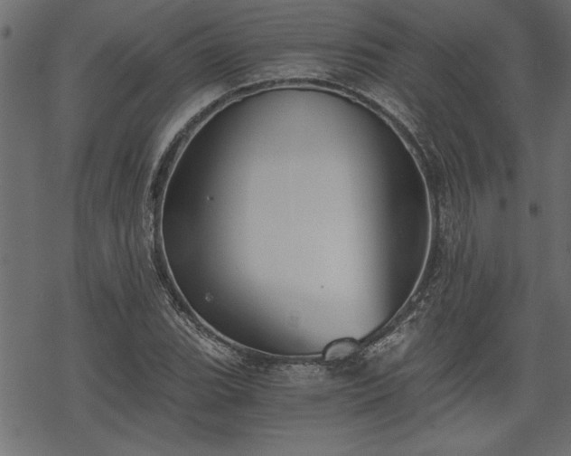 X0000068851119200605081208