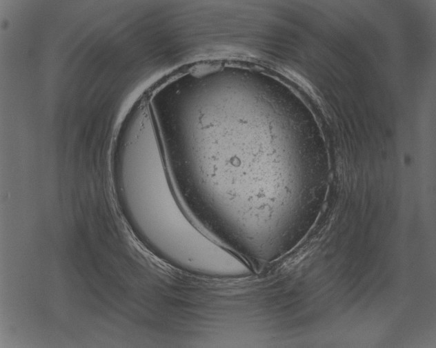 X0000068851120200605081208