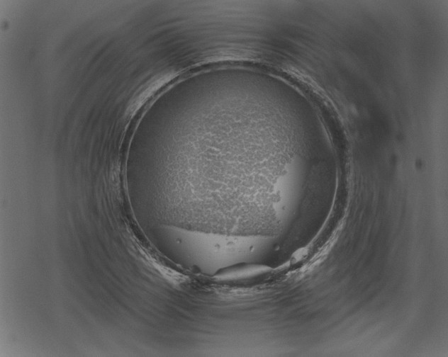 X0000068851121200605081208