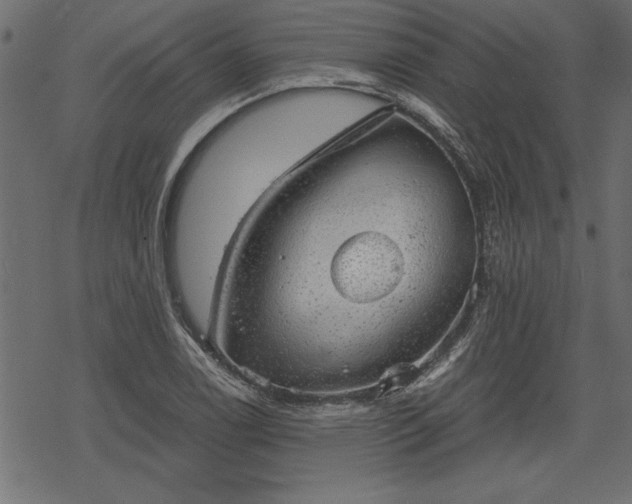 X0000068851122200605081208