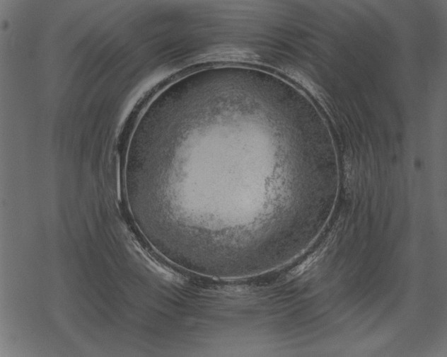 X0000068851123200605081208