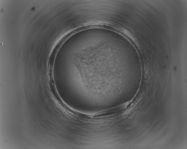 X0000068851124200605081208