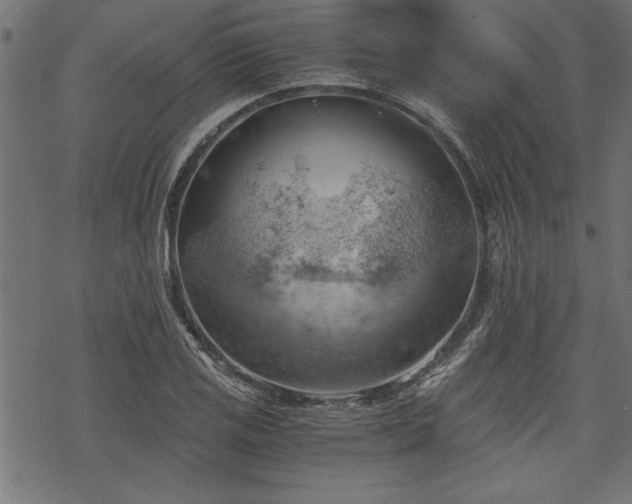 X0000068851125200605081208