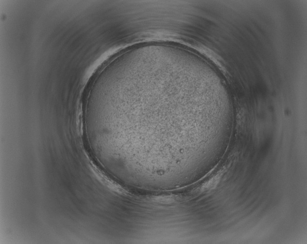 X0000068851126200605081208