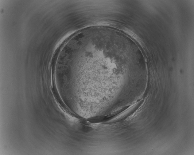 X0000068851127200605081208