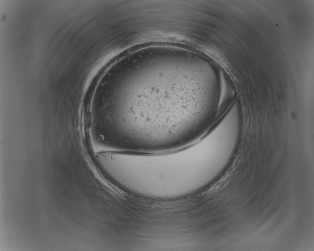 X0000068851128200605081208