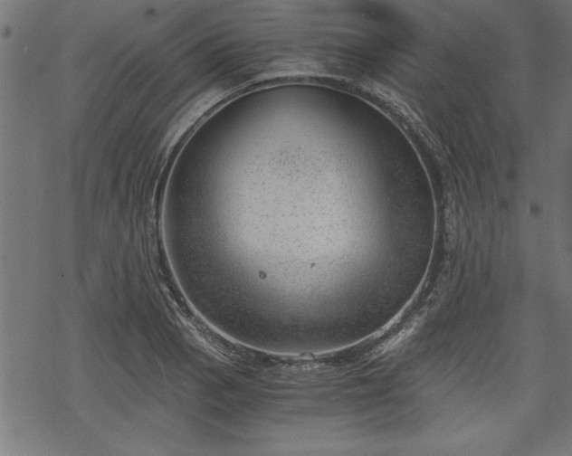 X0000068851129200605081208