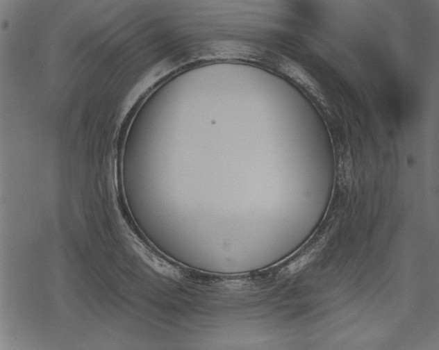 X0000068851130200605081208