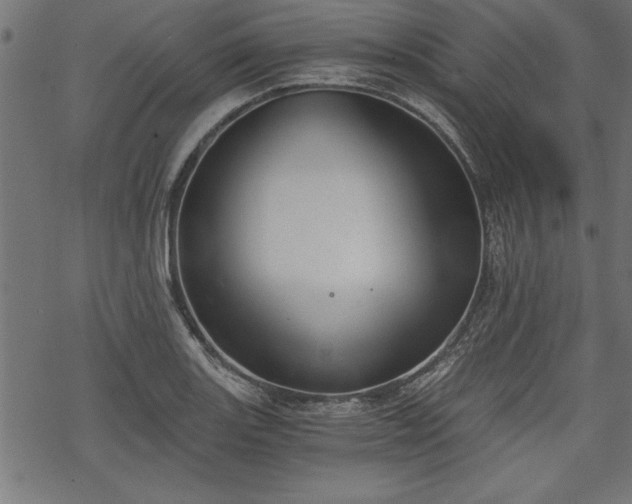 X0000068851131200605081208